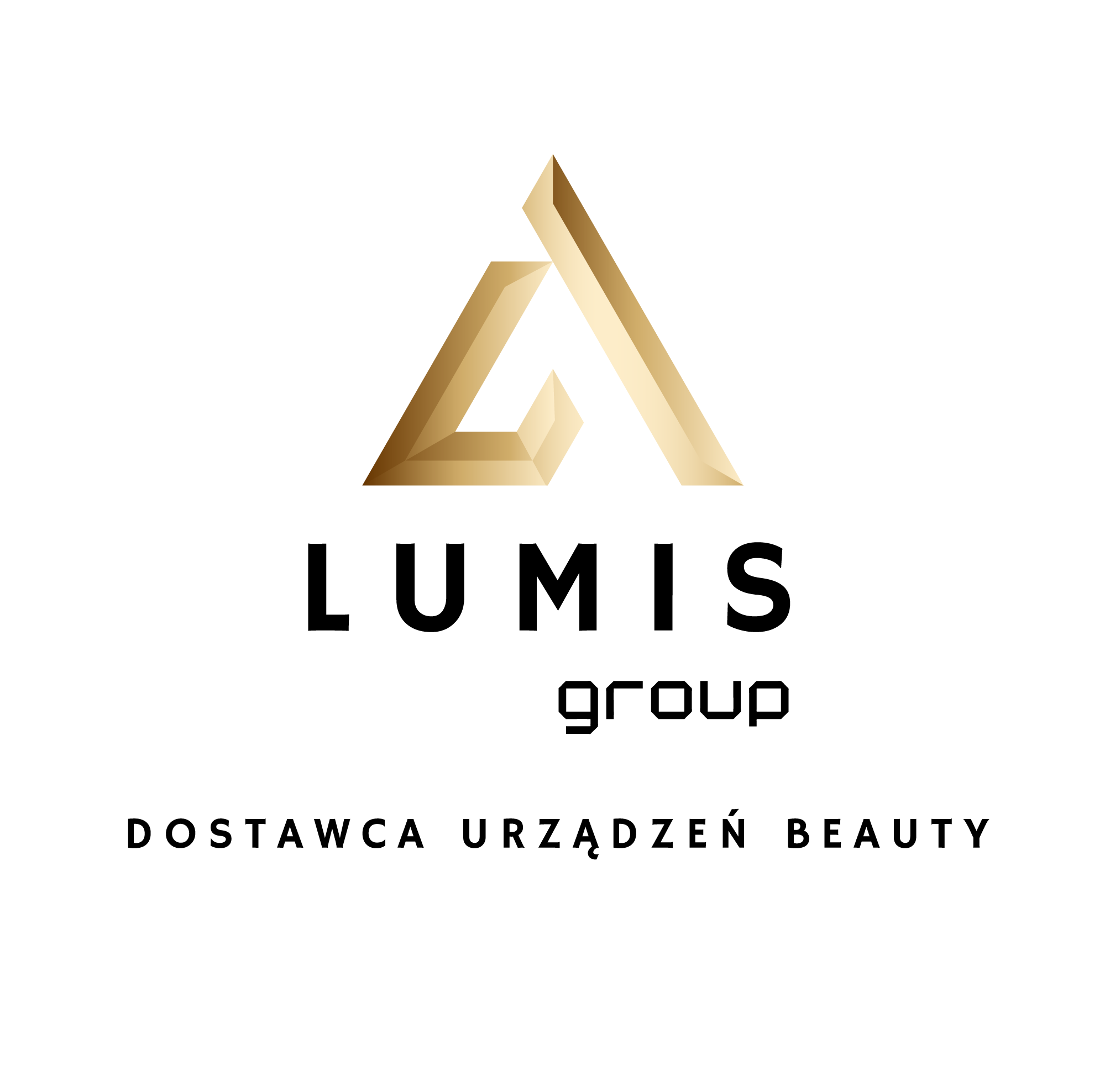 LUMIS GROUP_logo