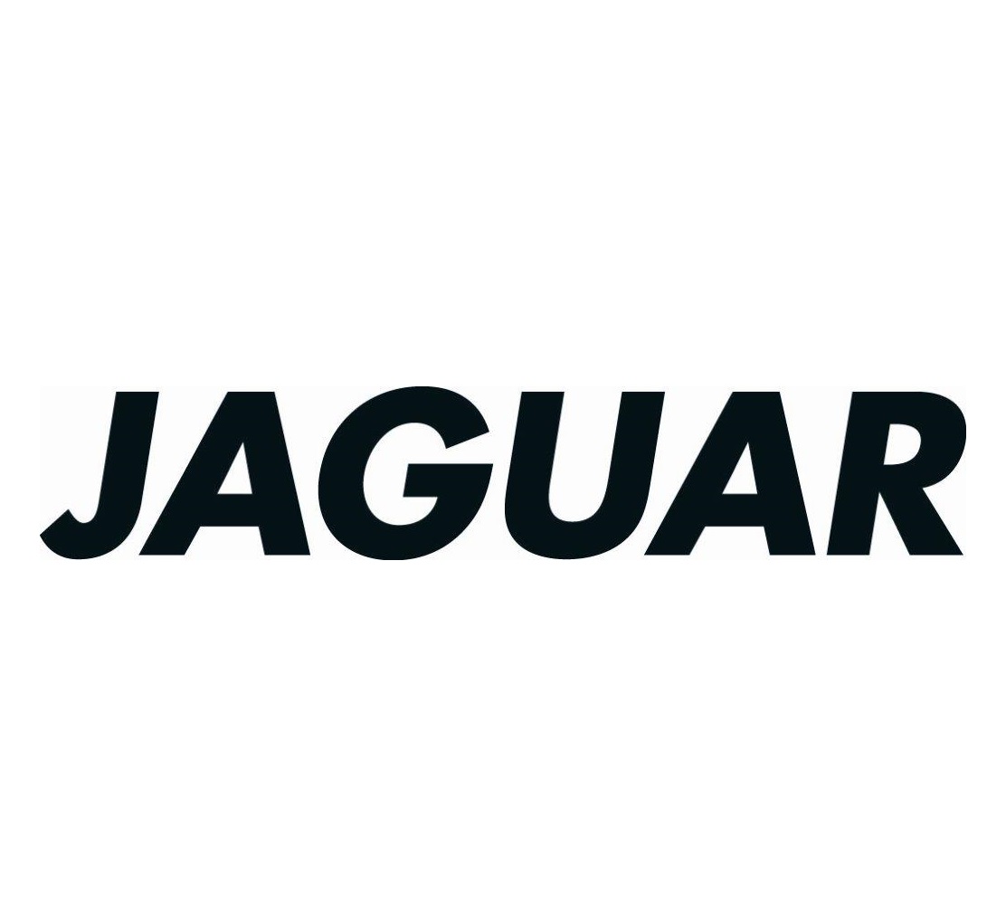 SILOG_Schriftzug_jaguar_schwarz40cy